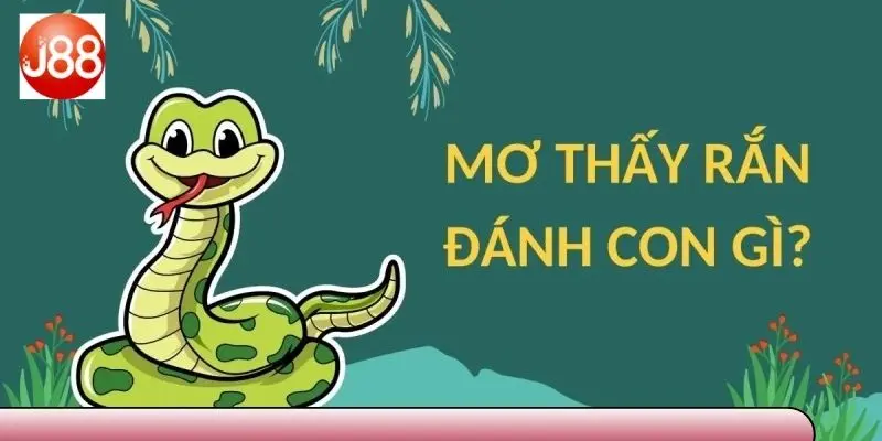 Mơ thấy rắn đánh con gì & lô đẹp nhất